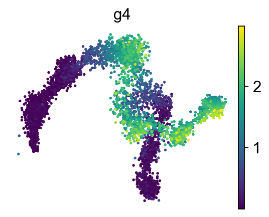 ../_images/notebook_test_bifurcation_dgv_52_0.png
