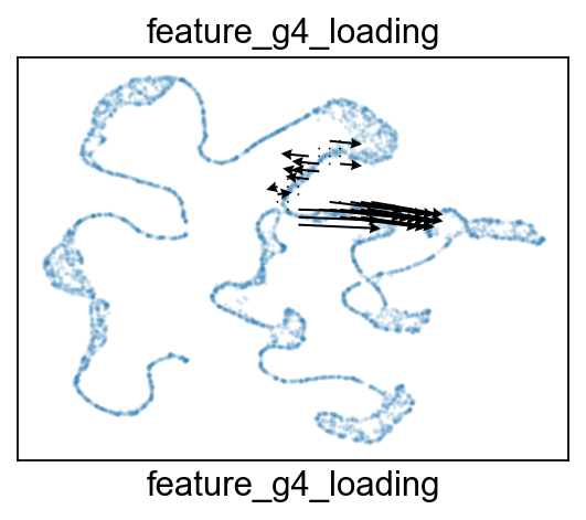 ../_images/notebook_test_bifurcation_dgv_52_4.png