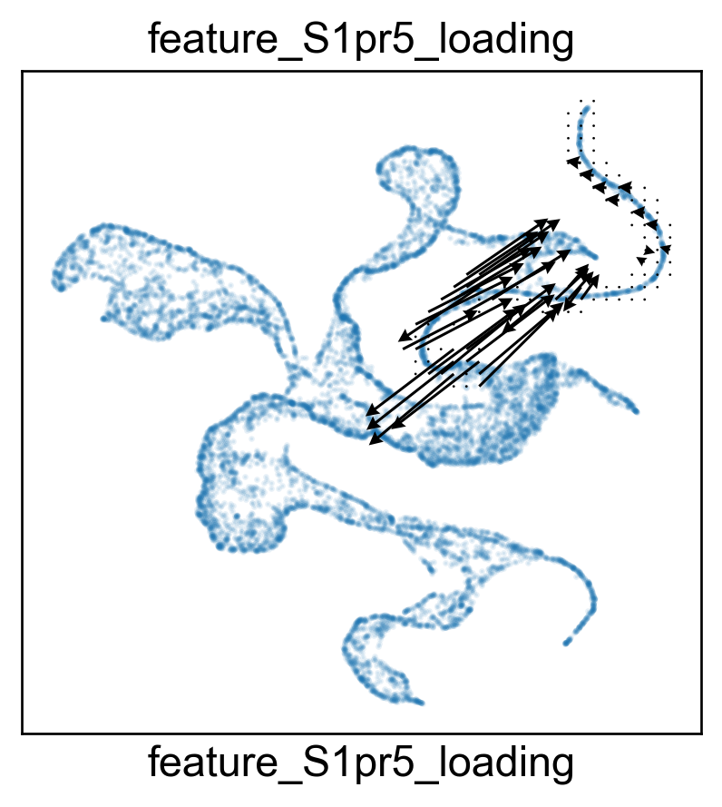 ../_images/notebook_test_cd8_69_7.png