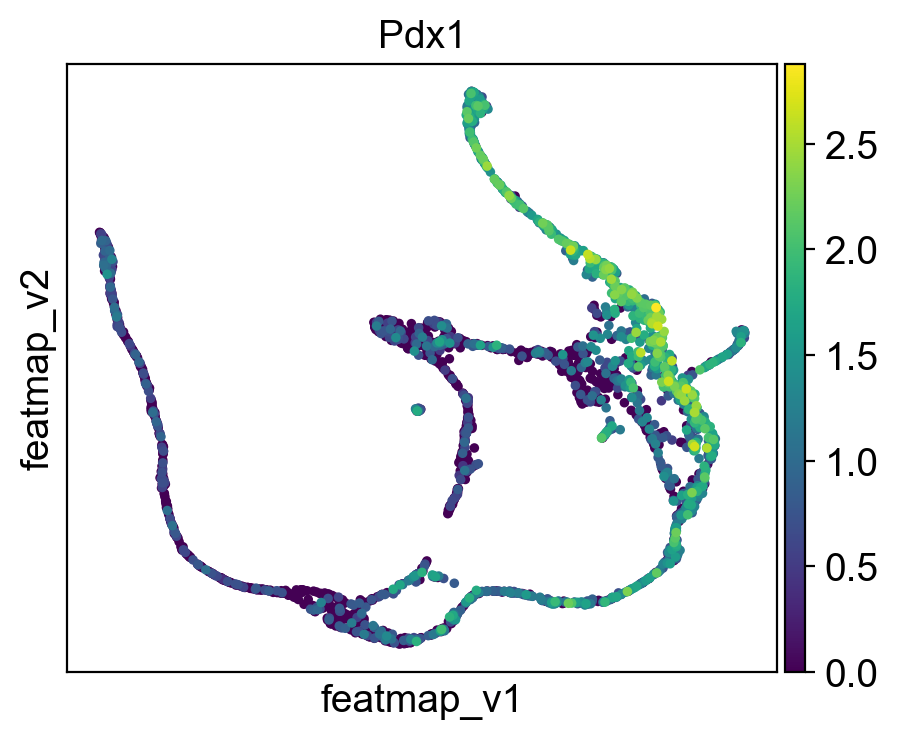 ../_images/notebook_test_pancreas_62_2.png
