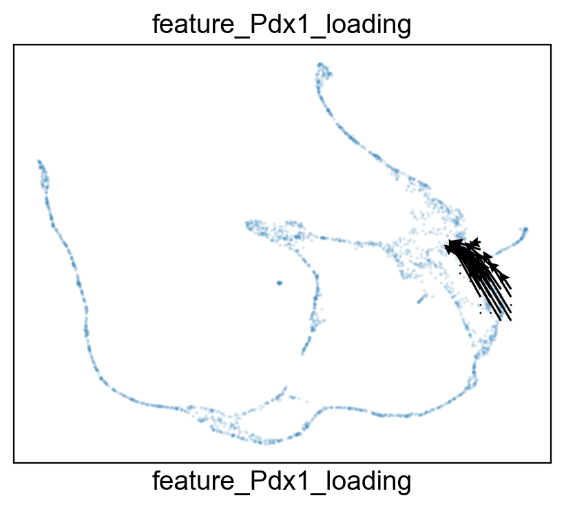 ../_images/notebook_test_pancreas_62_4.png